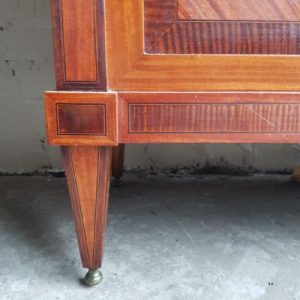 French Kingwood inlaid vitrine (Display cabinet)