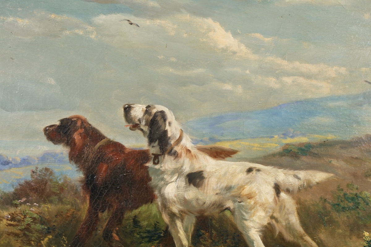 Henri Schouten Hunting dogs