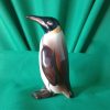 Goebels penguin