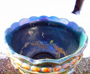 Victorian ceramic planter pedistal