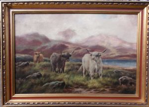 Pr Scottish highland cattle landscapes. Oils on Canvas