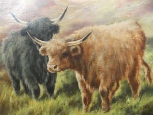 Pr Scottish highland cattle landscapes. Oils on Canvas