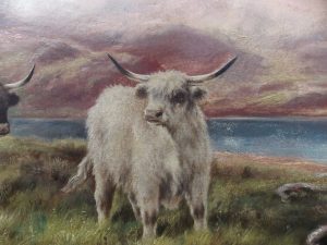 Pr Scottish highland cattle landscapes. Oils on Canvas