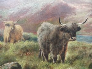 Pr Scottish highland cattle landscapes. Oils on Canvas