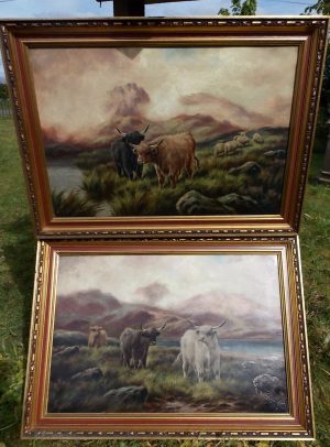 Pr Scottish highland cattle landscapes. Oils on Canvas