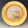 Royal Worcester plate, signed Harry Davis,