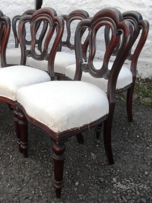 Set 12 Victorian mahogany dining chairs