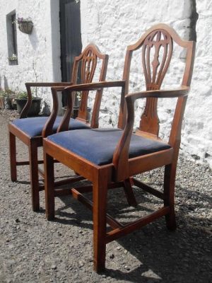 Set of 6+2 Edwardian hepplewhite revival mahogany dining chairs