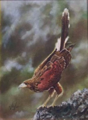 Dave Baker. (American) Oil on canvas.Titled: 